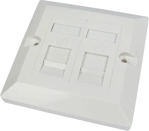 Scan Single Gang Dual Port Cat 6 Faceplate