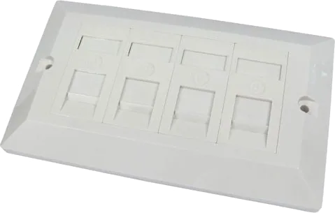 Xclio Dual Gang Quad Port Cat 5/6 Faceplate