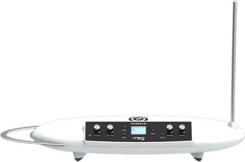 Moog - ThereMini