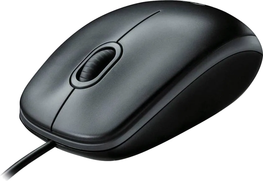 Mice