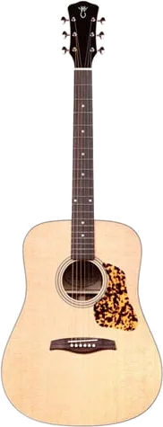 Levinson Missouri LD-25 Guitar