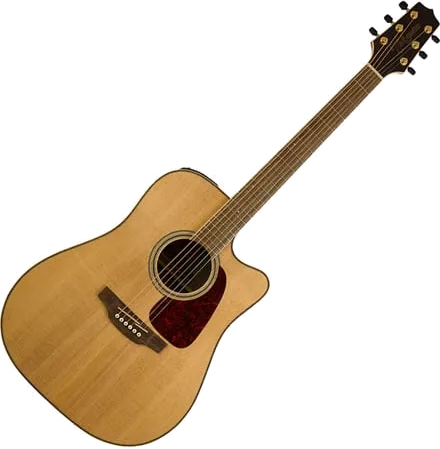 Takamine GD93CE Natural
