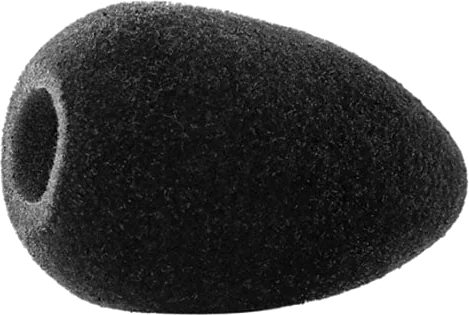 Sennheiser MZW 64-PRO