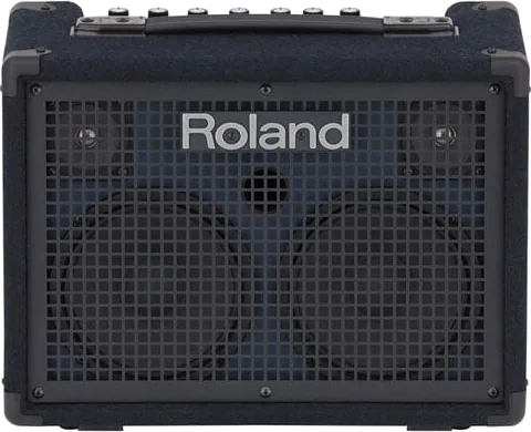 Roland KC-220 Battery Powered Amplifier