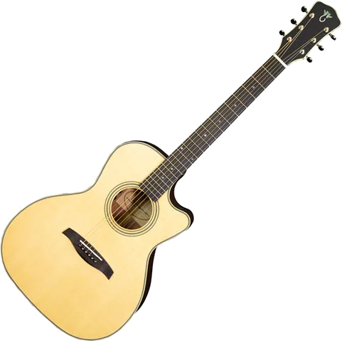 Levinson Acoustic LSC-43 MVT Guitar