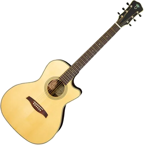 Levinson Sangamon Cutaway LSC-23 MVT