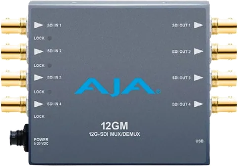 AJA 12GM Mini-Converter