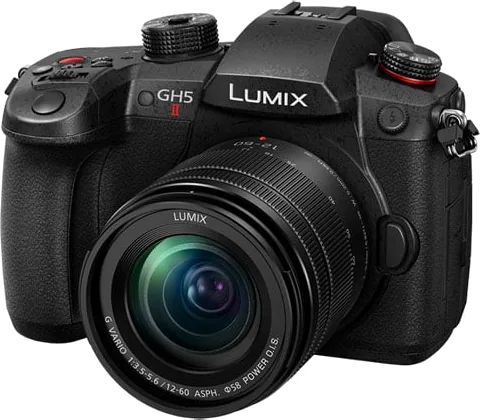 Panasonic Lumix GH5M2 with 12-60mm Lumix Lens