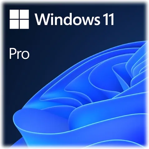 Windows 11 PRO 64Bit English OS DVD OEM