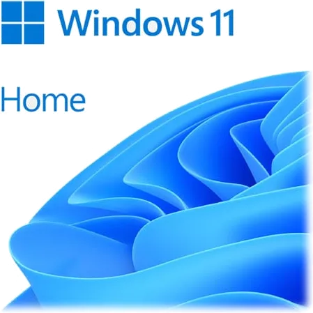 Windows 11 Home 64Bit English OS DVD OEM