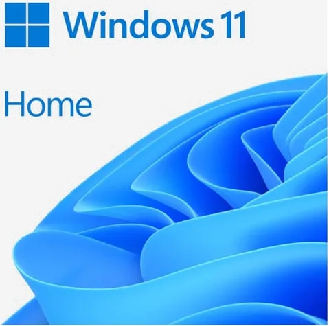 Windows 11 Home Edition 64-bit on USB Stick - English