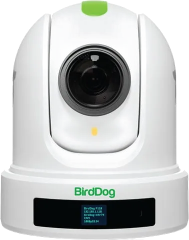 BirdDog P110 NDI PTZ Camera (White)