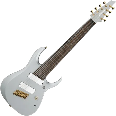 Ibanez RGDMS8 8-String Electric Guitar - Classic Silver Matte
