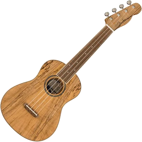 Fender Zuma Exotic Concert Ukulele, Walnut Fingerboard, Spalted Maple
