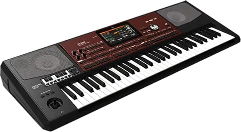 Korg Pa700 Oriental Professional Arranger Keyboard (61 Keys)