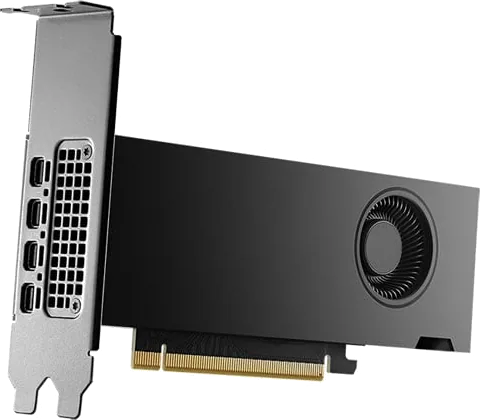 PNY NVIDIA RTX 2000 ADA LP