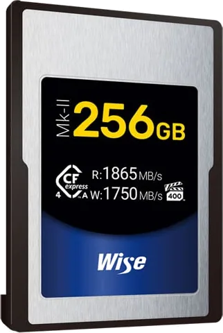 Wise CFX4-A256M2 256GB Memory Card