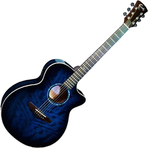 Faith - FVBLM - Blue Moon Venus Cut/Electro Guitar with Hardcase