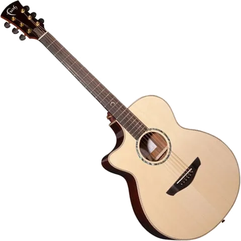 Faith - FVHGL3 - HiGloss 3 Venus Cut/Electro Guitar, 3-Piece Rosewood - Left Handed+ Hardcase