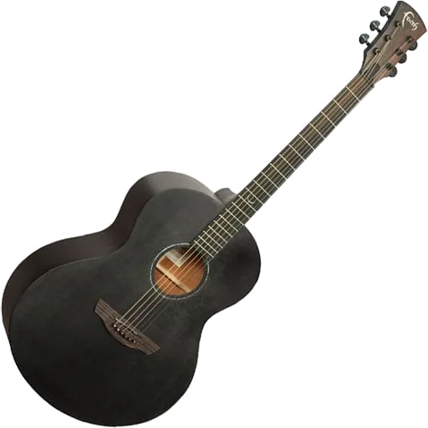Faith - FKNEBK - Naked Neptune Electro Guitar Black Stain with Gig Bag