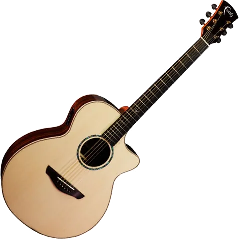 Faith - FVHG3 - HiGloss 3 Venus Cut/Electro Guitar, 3-Piece Rosewood+ Hardcase