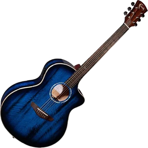 Faith - FNCEBLM - Blue Moon Neptune Cut/Electro Guitar with Hardcase
