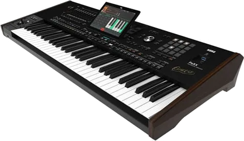 Korg Pa5X 61 Oriental 61-key Arranger Workstation