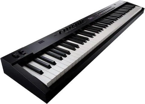 Roland RD-88 EX 88-Key Stage Piano