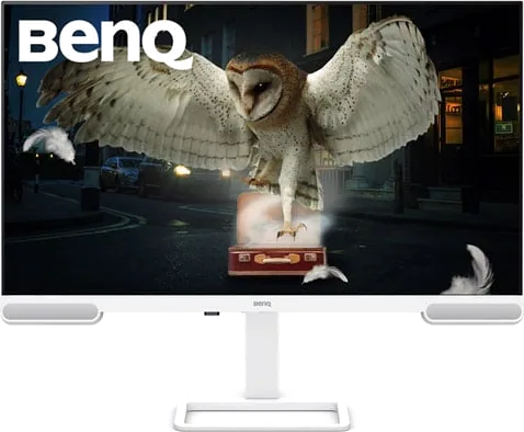 Benq 31.5" EW3290U 4K UHD 60Hz Premium IPS Monitor