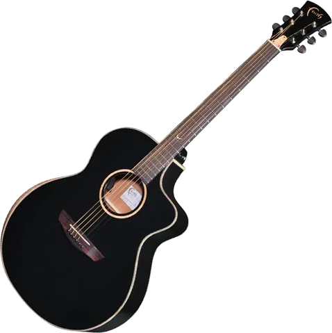 Faith Eclipse Neptune - Cutaway Electro with Hardcase (Black)