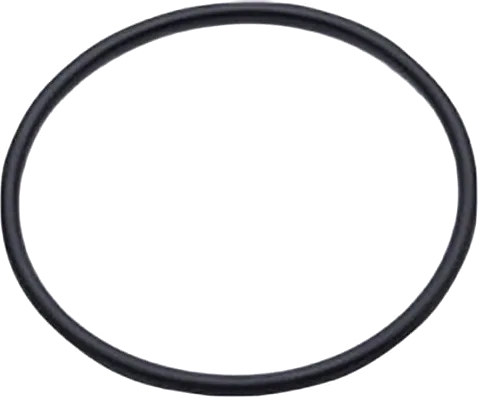 EK-D5 Pump O-Ring
