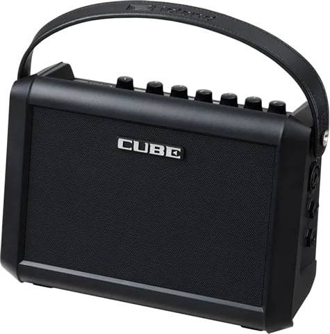Roland CUBE Street MINI Battery Amplifier
