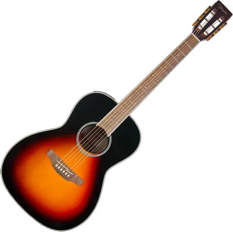 Takamine New Yorker