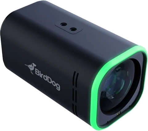 BirdDog MAKI Ultra 12x 4K60 Box Camera