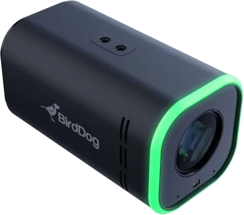 BirdDog MAKI Ultra 20x 4K60 Box Camera
